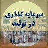 سرمایه گذاری در تولید